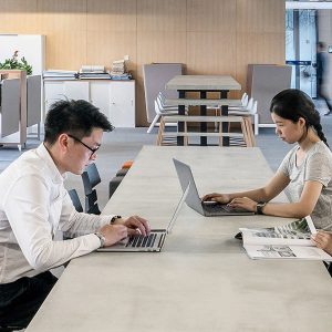 约克区这个市2024年“房产税”上涨2.99%！日本首相要求取消日本食品禁令。加拿大全国热销巧克力紧急召回！