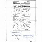 加拿大海牙认证成品样本展示：加拿大安大略省结婚许可证