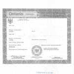 加拿大渥太华证件委托书声明书文书海牙认证