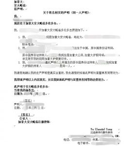 姓名核实同一人声明海牙认证中文翻译盖章