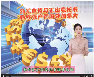 外汇申请与汇出委托书转移资产到国外加拿大