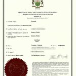 加国海牙认证单身证明中国出售房产附加证明