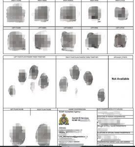 加拿大皇家骑警无犯罪证明在澳大利亚申请