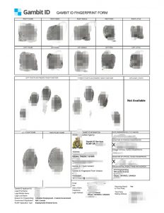 加籍申请中国五星卡远程办加拿大无犯罪证明