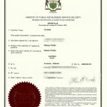 外籍离异人士中国再结婚办理离婚未再婚声明书