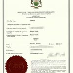 温尼伯加拿大籍人回国再婚单身证明海牙认证