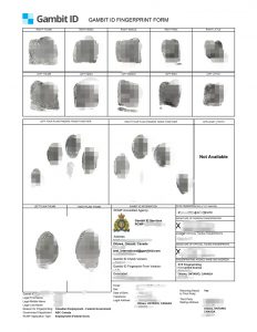加拿大外国人如何申请中国五星卡无犯罪证明