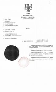同一人海牙认证封面附加证明书中文翻译盖章