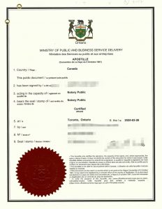 加拿大海牙认证Police record check