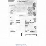 人在卡尔加里委托安省办理萨省出生证海牙认证