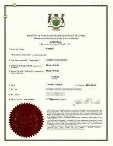 加拿大籍外国人来华工签无犯罪海牙附加证明