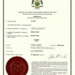 加拿大华人老人委托办理中国所有银行事宜