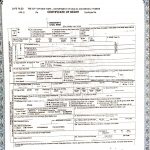 美国纽约华人死亡证明海牙认证附加证明公证 美国纽约华人死亡证明海牙认证附加证明公证