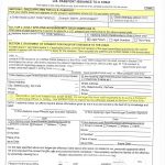 DS3053同意办理孩子美国护照同意书远程公证