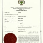 加拿大外国绿卡英语汉语翻译公证海牙认证