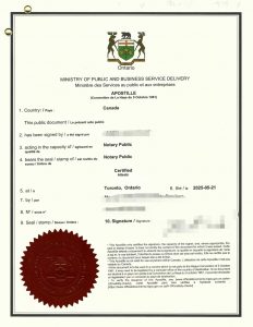 多伦多大学工程科学专业学士学位海牙认证书