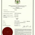 父母亲婚姻子女情况声明书公证与附加证明书