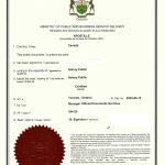 出售上海嘉定买卖合同房产过户海牙附加公证 出售上海嘉定买卖合同房产过户海牙附加公证