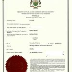 加拿大BMO银行文件英文西班牙文海牙认证 加拿大BMO银行文件英文西班牙文海牙认证