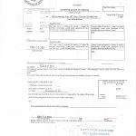 加拿大安省离婚证明纸海牙认证附加证明书