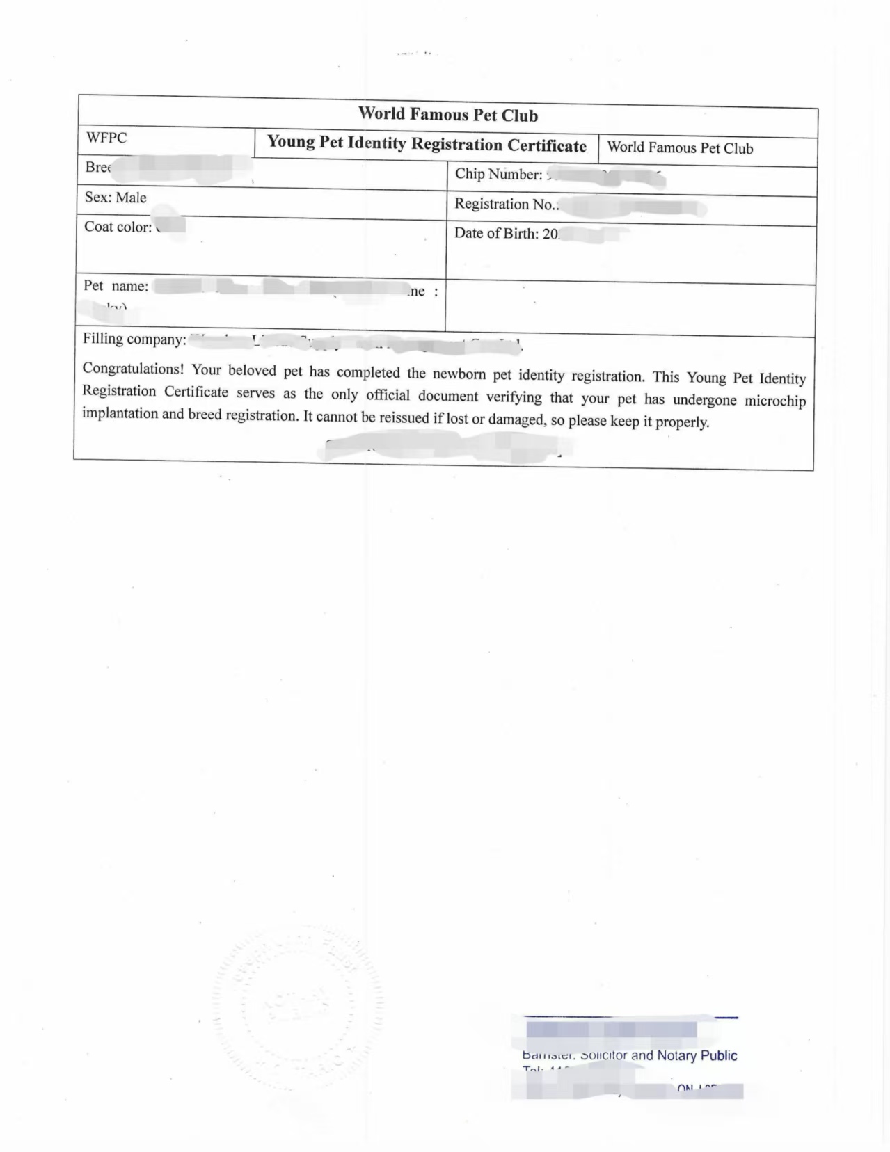 翻译公证件宠物狗身份登记证中国犬猫疫苗本-加拿大海牙认证代理机构