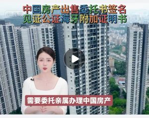中国房产出售委托签名见证公证海牙附加证明
