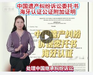 中国遗产纠纷诉讼委托海牙认证公证附加证明