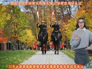 加拿大皇家骑警无刑事犯罪记录审查海牙认证