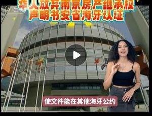 华人放弃南京房产继承权声明书安省海牙认证