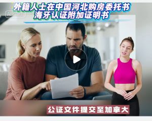 外籍人士在中国河北购房委托书海牙认证附加证明