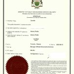 加拿大温尼伯离婚判决英文原文公证海牙认证 加拿大温尼伯离婚判决英文原文公证海牙认证