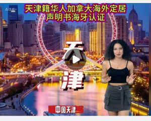 天津籍华人加拿大海外定居声明书海牙认证