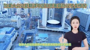 加拿大公证处翻译中国自愿离婚协议子女移民