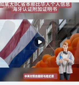 加拿大BC省本那比华人个人信息海牙附加证明