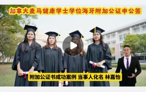 加拿大麦马健康学士学位海牙附加公证申工签