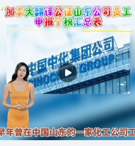 加拿大翻译公证山东公司员工申报个税汇总表