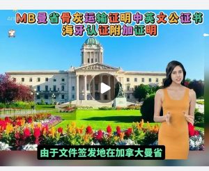MB曼省骨灰运输证明中英公证书海牙附加证明