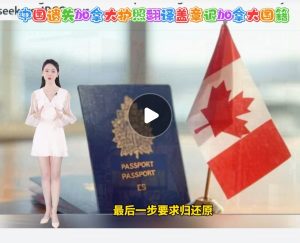 中国遗失加拿大护照翻译盖章退加拿大国籍