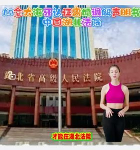 加拿大海牙认证离婚调解声明书中国湖北法院