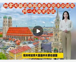 加拿大籍在德国委托多伦多公证处同一人海牙