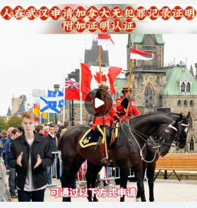 人在武汉申请加拿大无犯罪证明附加证明认证