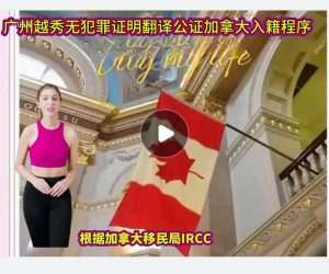 广州越秀无犯罪证明翻译公证加拿大入籍程序