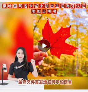 枫叶国阿省卡城小孩出生证海牙认证附加证明