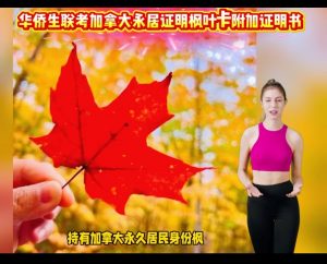 华侨生联考加拿大高中成绩单公证附加证明书