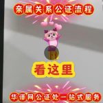 亲属关系公证要准备的材料! 亲属关系公证要准备的材料!
