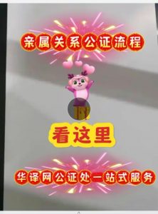 亲属关系公证要准备的材料！