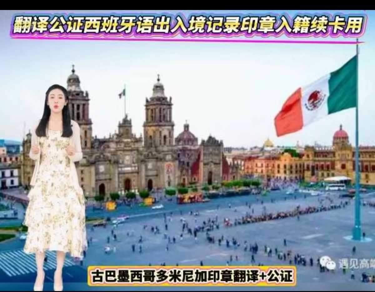 翻译公证西班牙语出入境记录印章入籍续卡用