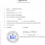 私人公司财务报告美国海牙认证在以色列使用