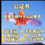 加拿大枫叶卡华译网公证全程线上办理 加拿大枫叶卡华译网公证全程线上办理