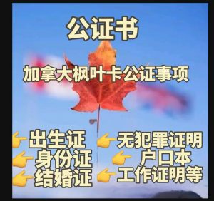 加拿大枫叶卡华译网公证全程线上办理